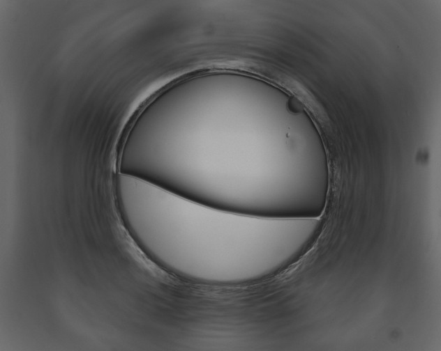 X0000091661036200708230946