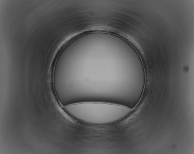 X0000091661037200708230946