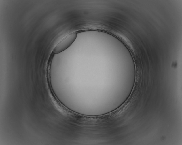 X0000091661039200708230946
