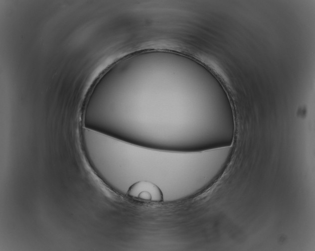 X0000091661040200708230946