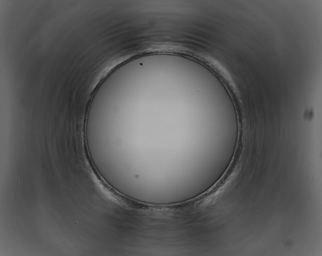 X0000091661041200708230946