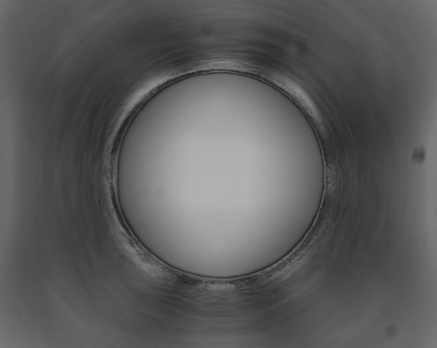 X0000091661043200708230946