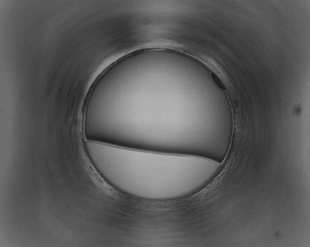 X0000091661044200708230946