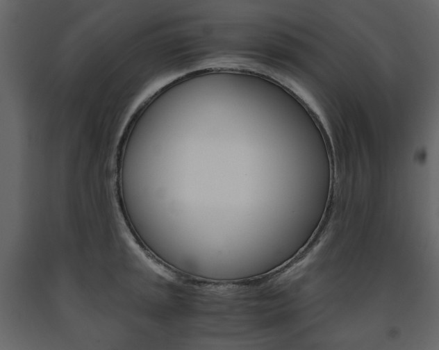 X0000091661045200708230946