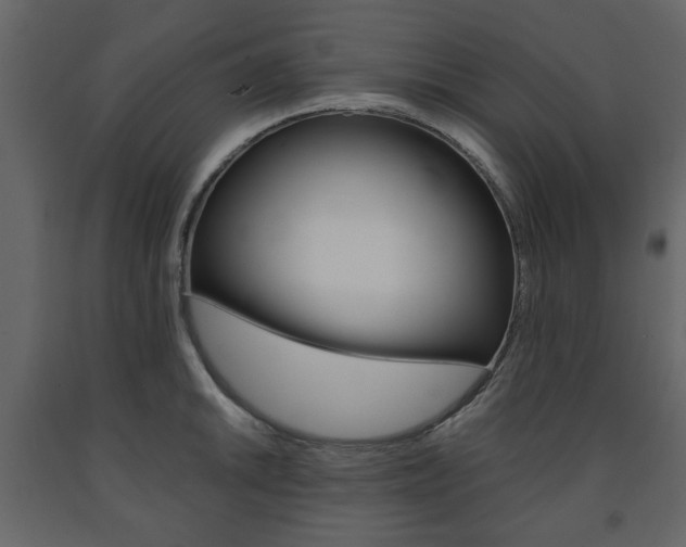 X0000091661046200708230946