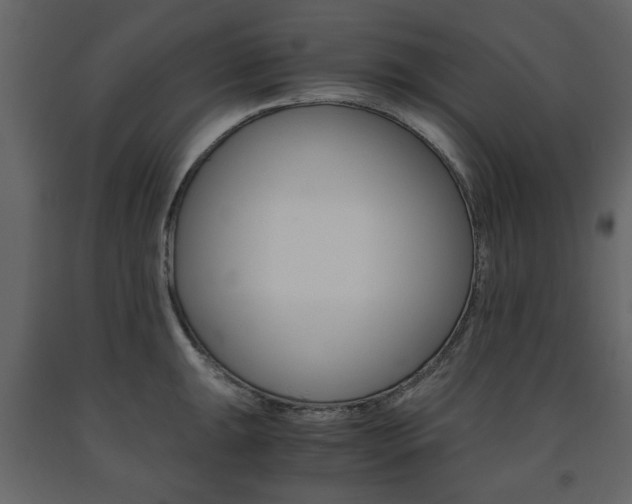 X0000091661047200708230946