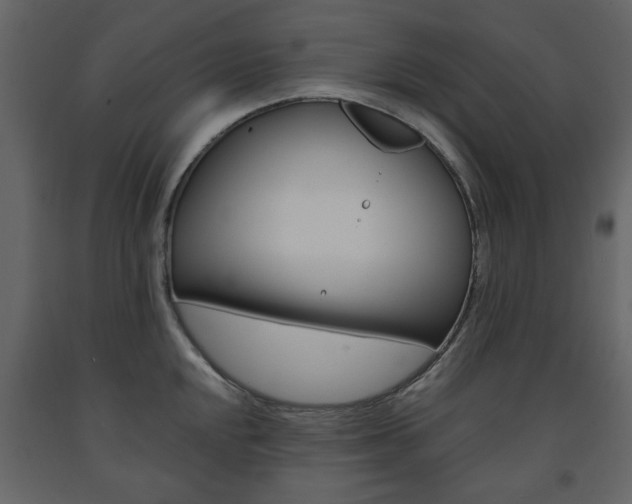 X0000091661048200708230946