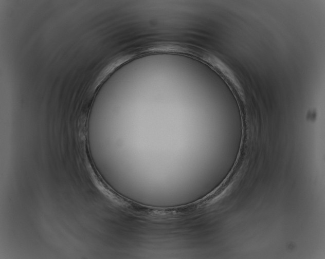X0000091661049200708230946