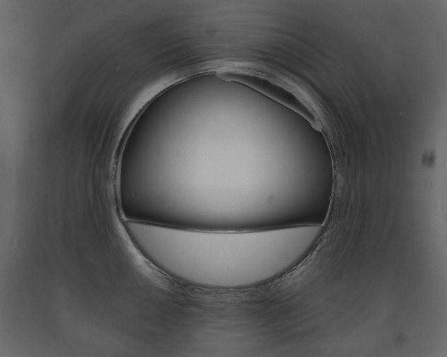 X0000091661050200708230946