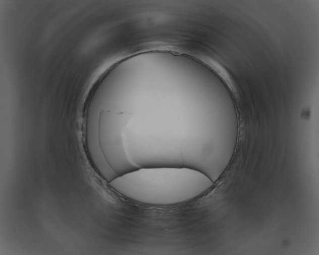X0000091661051200708230946