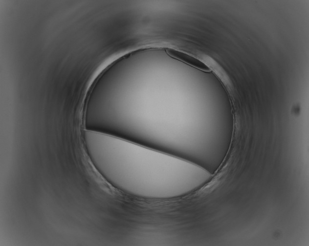 X0000091661052200708230946