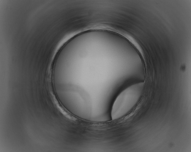X0000091661053200708230946