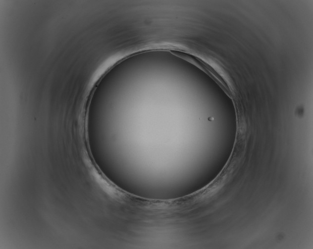 X0000091661054200708230946