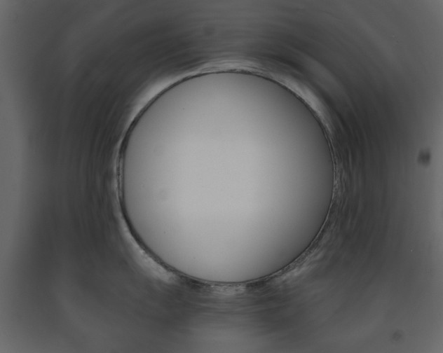 X0000091661055200708230946