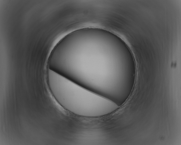 X0000091661056200708230946