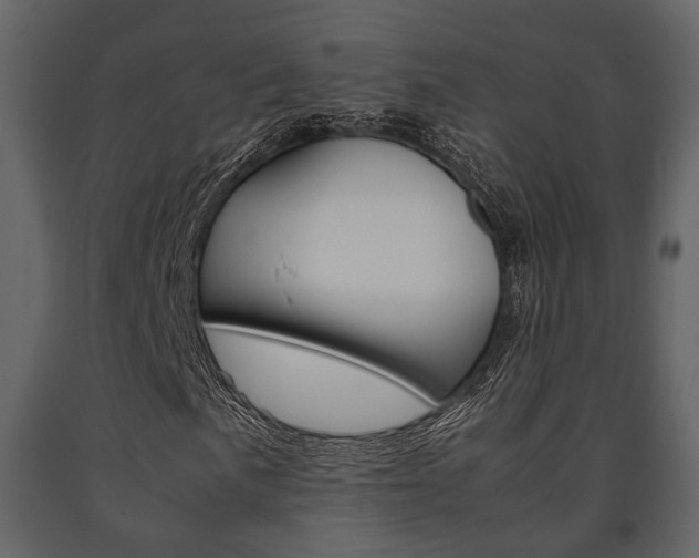X0000091661057200708230945