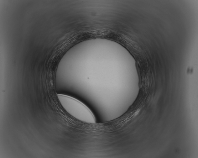 X0000091661058200708230945