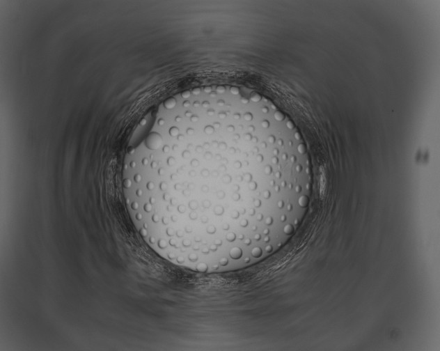 X0000091661059200708230945