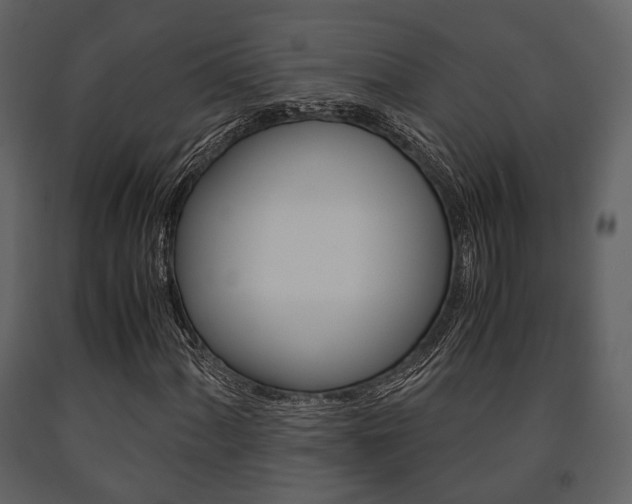 X0000091661060200708230945
