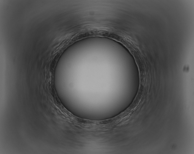X0000091661061200708230945