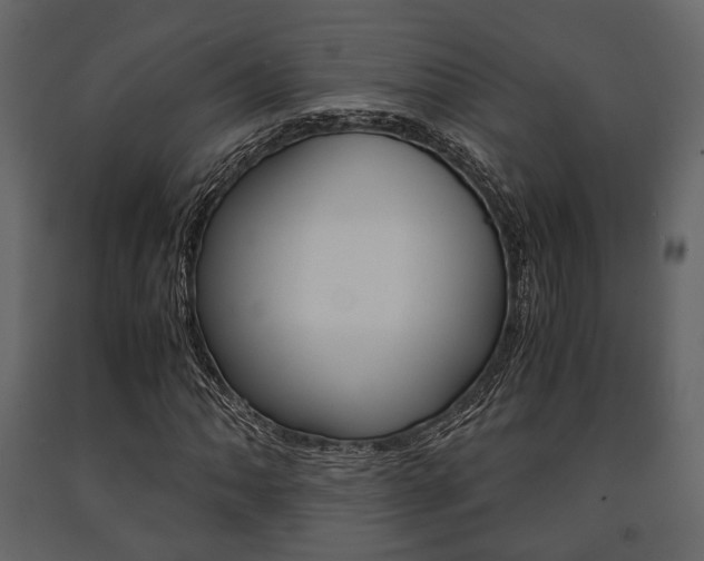 X0000091661062200708230945