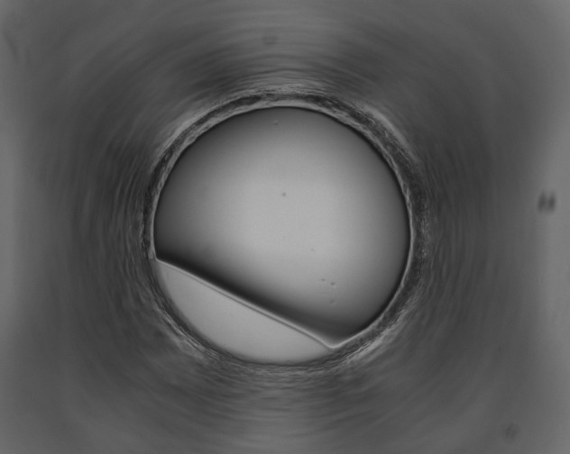 X0000091661065200708230945