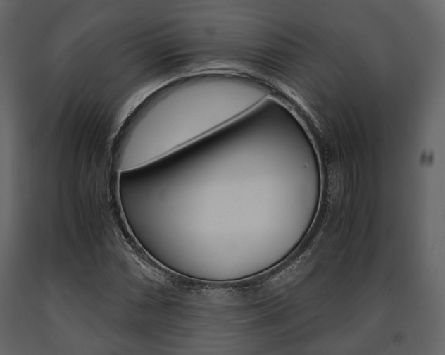 X0000091661066200708230945