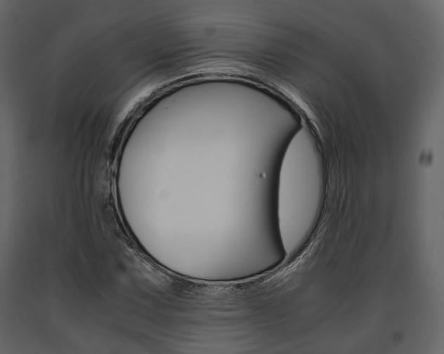 X0000091661067200708230945