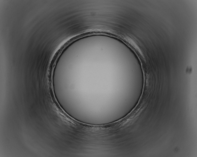 X0000091661068200708230945