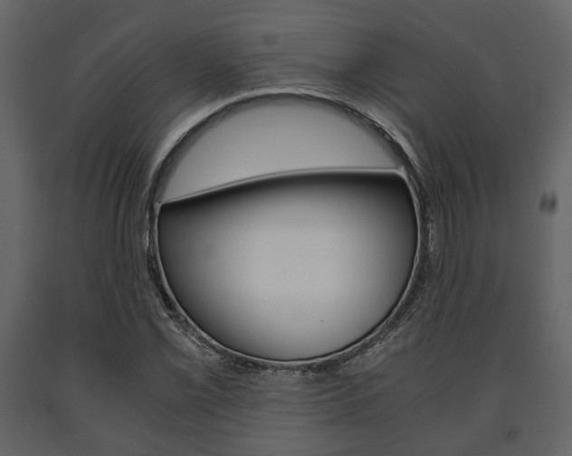 X0000091661069200708230945