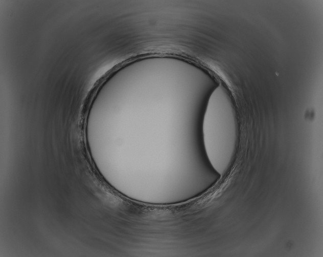 X0000091661071200708230945