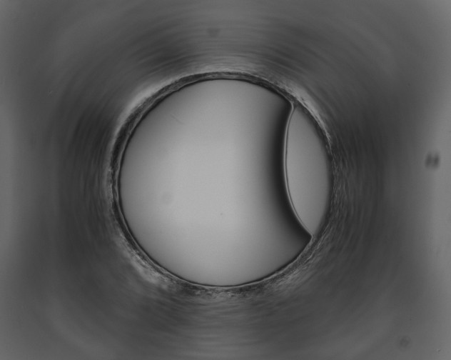 X0000091661072200708230945