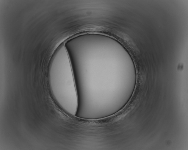 X0000091661073200708230945