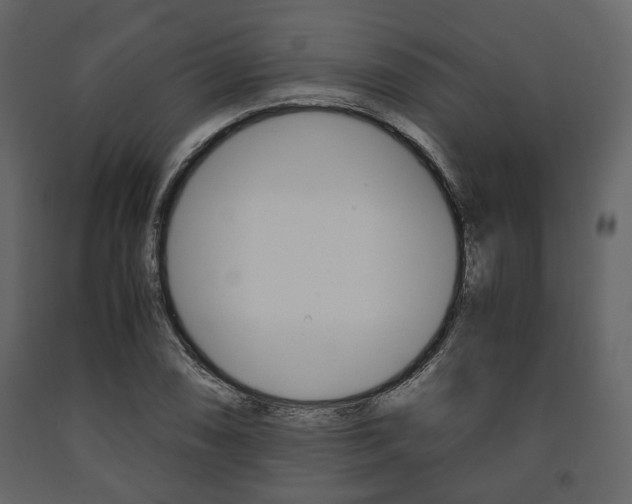 X0000091661074200708230945