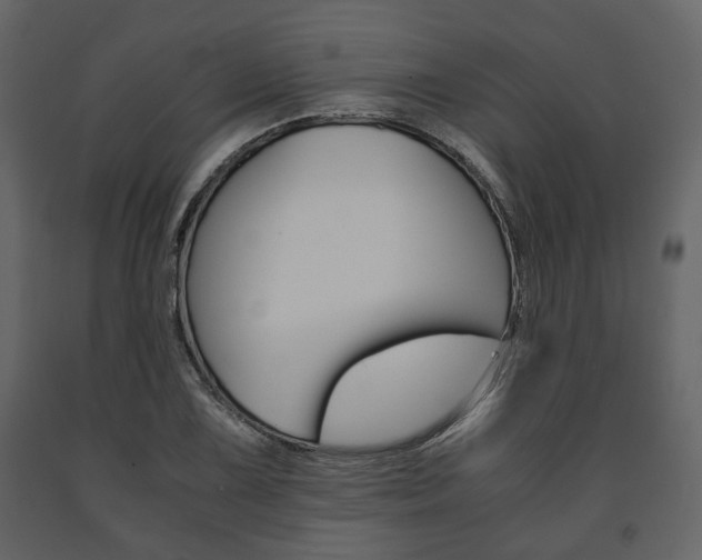 X0000091661075200708230945