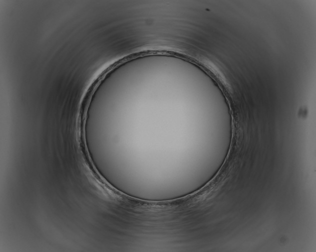 X0000091661076200708230945