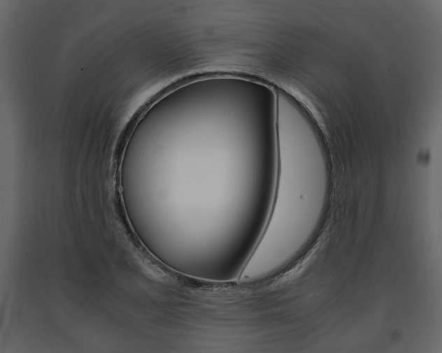 X0000091661077200708230945