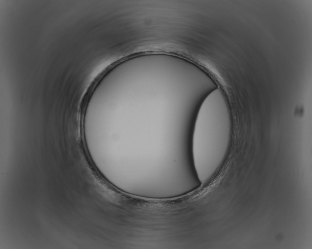 X0000091661079200708230945