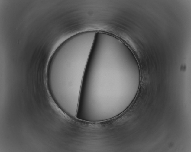 X0000091661080200708230945