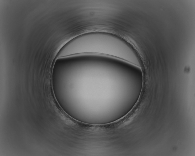 X0000091661081200708230945
