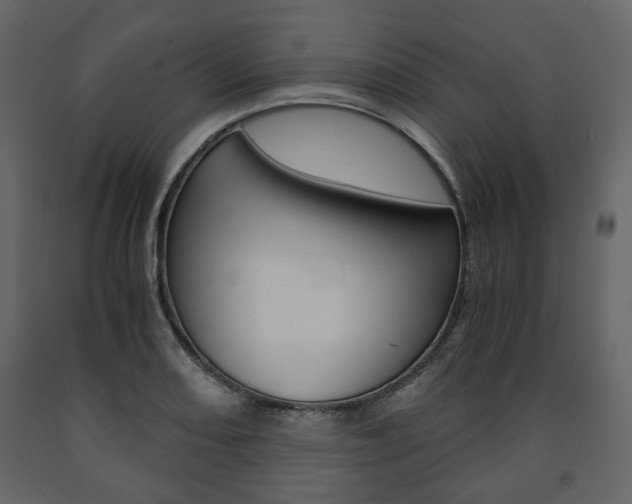 X0000091661082200708230945