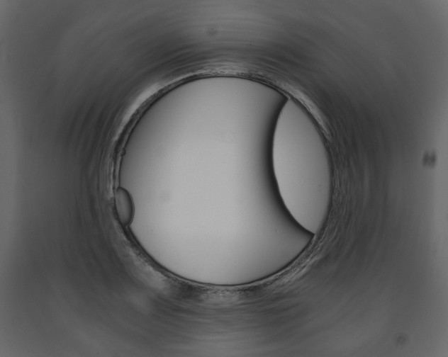 X0000091661083200708230945