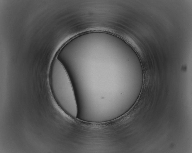 X0000091661084200708230945