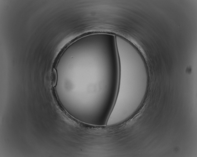 X0000091661085200708230945