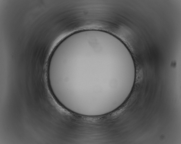 X0000091661086200708230945