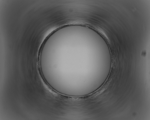 X0000091661087200708230945