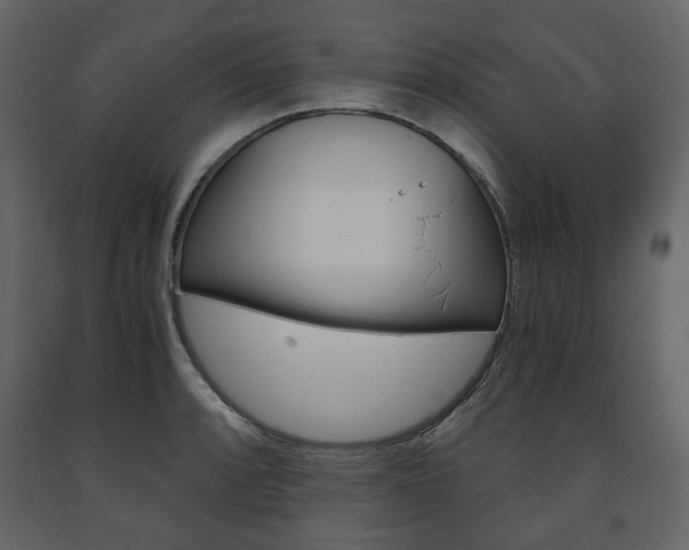 X0000091661088200708230945