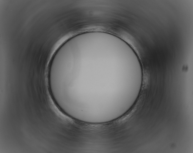 X0000091661090200708230945