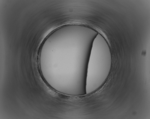 X0000091661091200708230945
