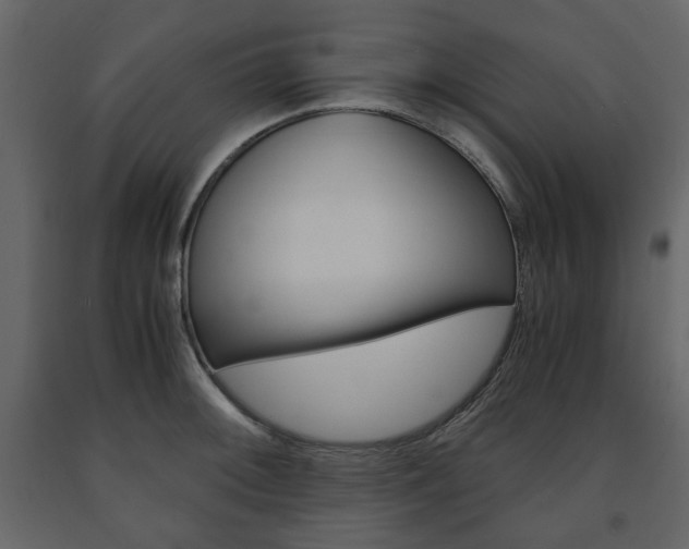 X0000091661092200708230945